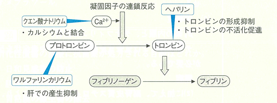 抗凝固薬の作用