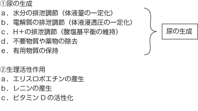 腎の働き