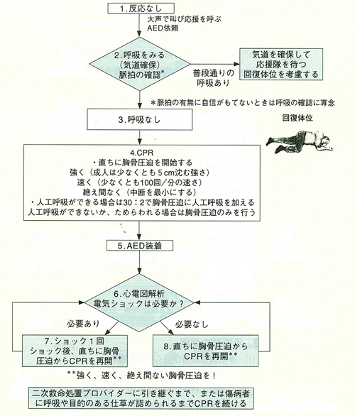 本版救急蘇生ガイドライン2010による一次救命の流れ