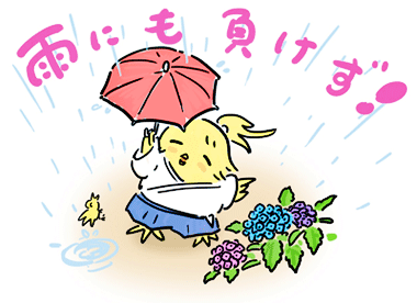 雨にも負けず