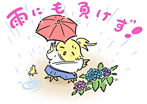 雨にも負けず!