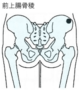 穿刺部位：乳幼児〜学童前期