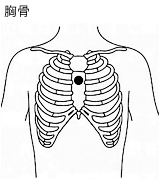 穿刺部位：学童後期〜思春期