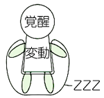 ノンレム睡眠