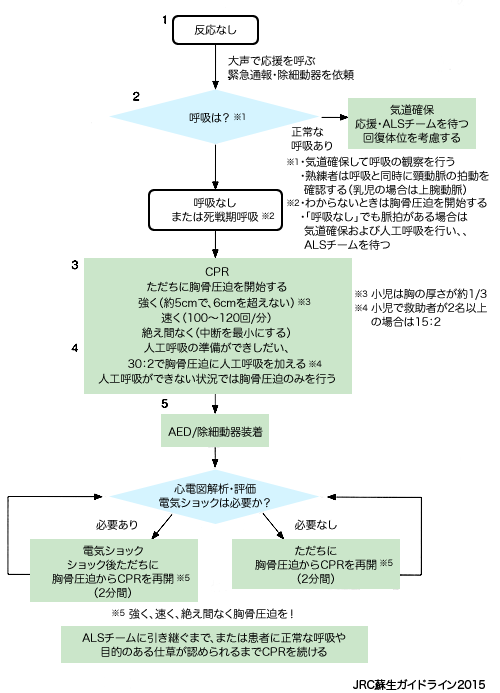 心肺蘇生の手順