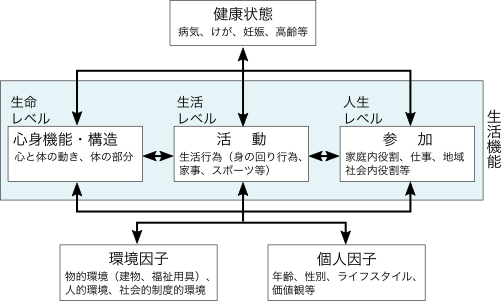 国際生活機能分類（ICF）の構成要素