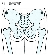 穿刺部位：乳幼児〜学童前期