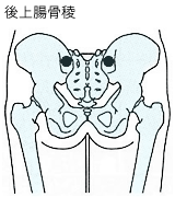 穿刺部位：乳幼児〜学童前期