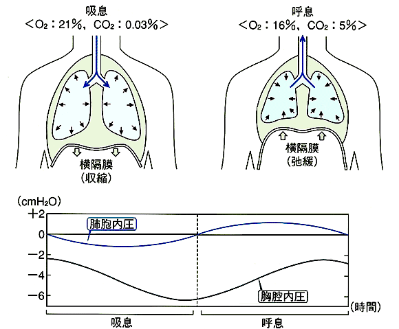 陰圧と陽圧