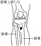 穿刺部位：6ヵ月以下の乳児