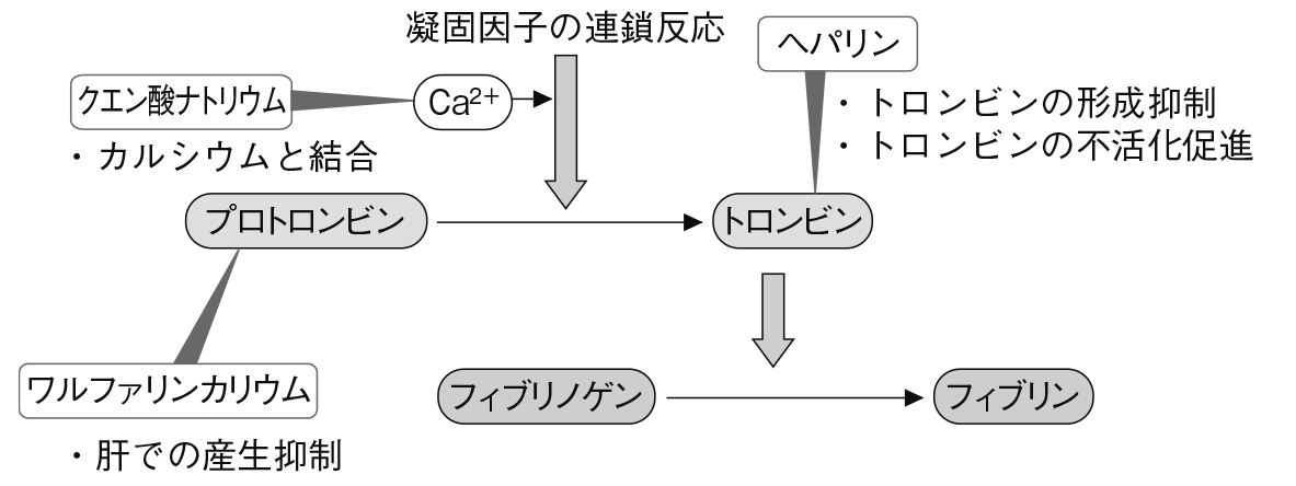 抗凝固薬